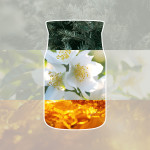 SILVER BIRCH